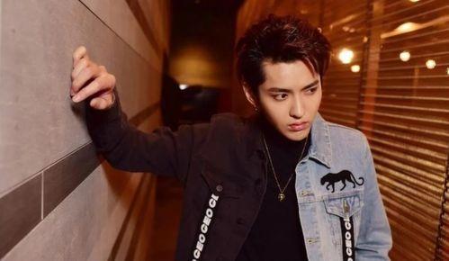 吴亦凡女生爆料视频,真相与争议交织 第2张 吴亦凡女生爆料视频,真相与争议交织 第2张